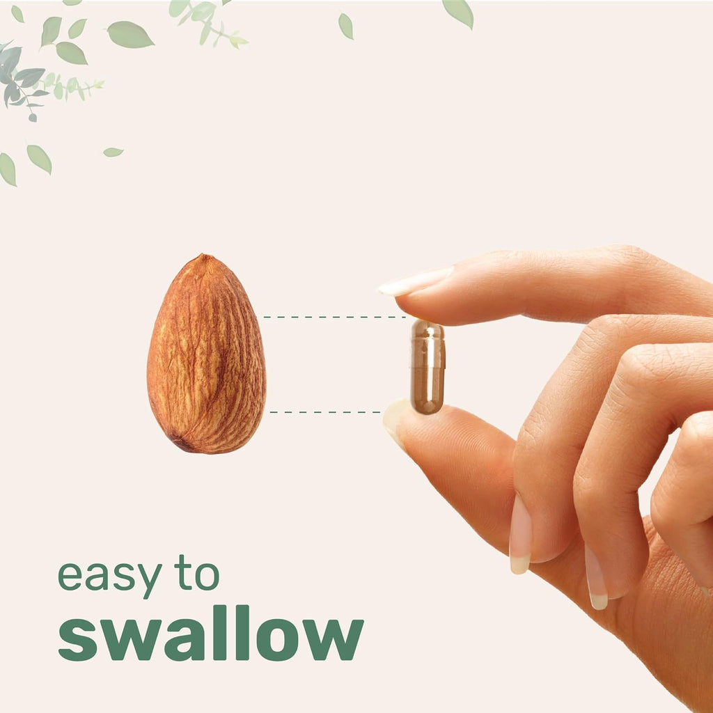 Grape Seed Extract 36,000mg Equivalent, 240 Capsules | Antioxidant Blend with Resveratrol & Red Wine Extracts | Max Strength Polyphenols Supplement | Heart, Brain, Cell, & Skin Health Support