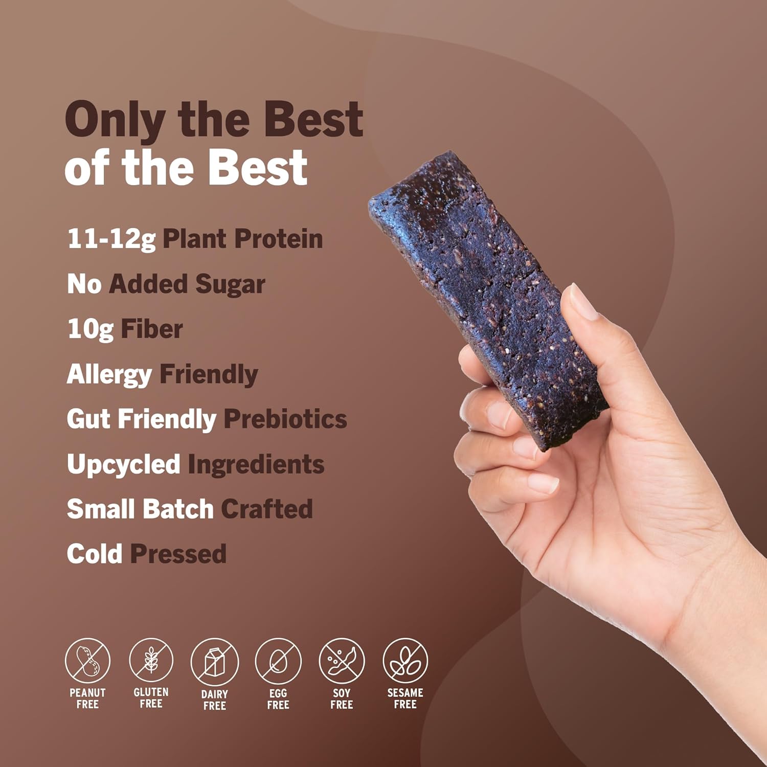 Amrita Nut Free Chocolate Variety Pack Vegan Protein Bars (12 Count) | 12g Plant-Based Protein Bar | Peanut Free, Gluten Free, and Dairy Free | Low Sugar, High Fiber, Healthy School-Safe Snacks