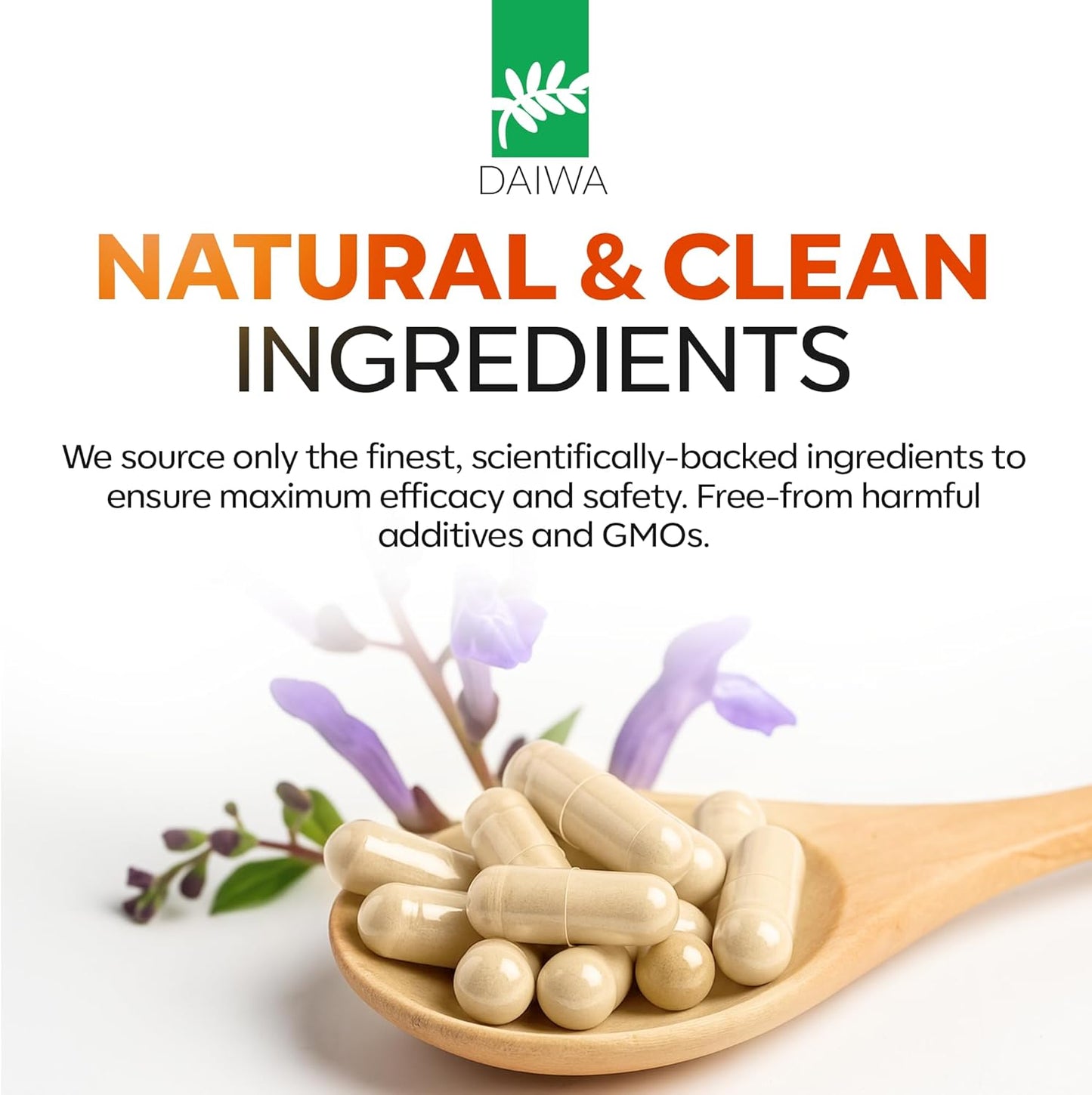 Daiwa Joint Health - Tendon and Ligament Supplements with Chinese Skullcap and Acacia Catechu - Traditional Plant-Based Formula for Active Lifestyles - Non-GMO, 30 Vegetarian Capsules