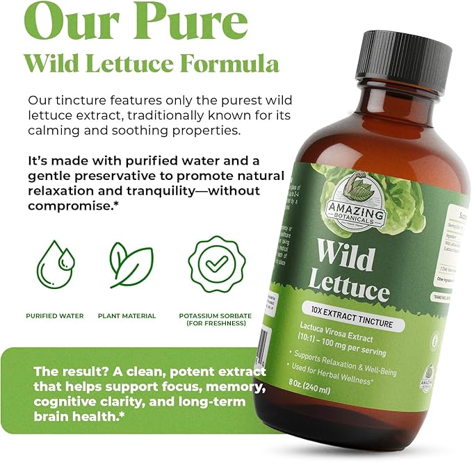 Amazing Botanicals Alcohol Free Wild Lettuce 10X Extract Tincture | Bulk Size | - USDA Organic Wild Lettuce (Lactuca Virosa) Dried Herb - 8 Fl oz