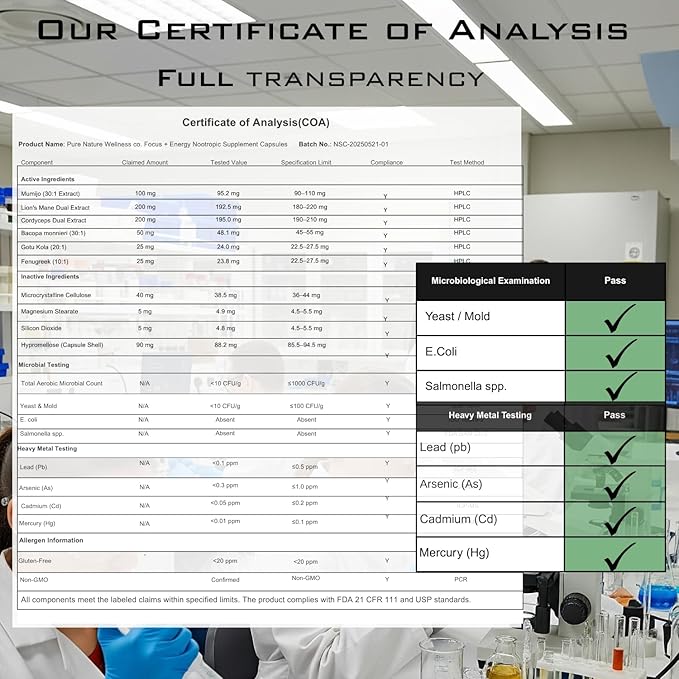 Pure Nature Wellness Focus + Energy + Immune Support-6-in-1 Nootropic & Mitochondrial Complex-Advanced Brain Supplement-Natural Energy-Caffeine Free Biohack with Lion’s Mane,Cordyceps,Mumijo,Fenugreek