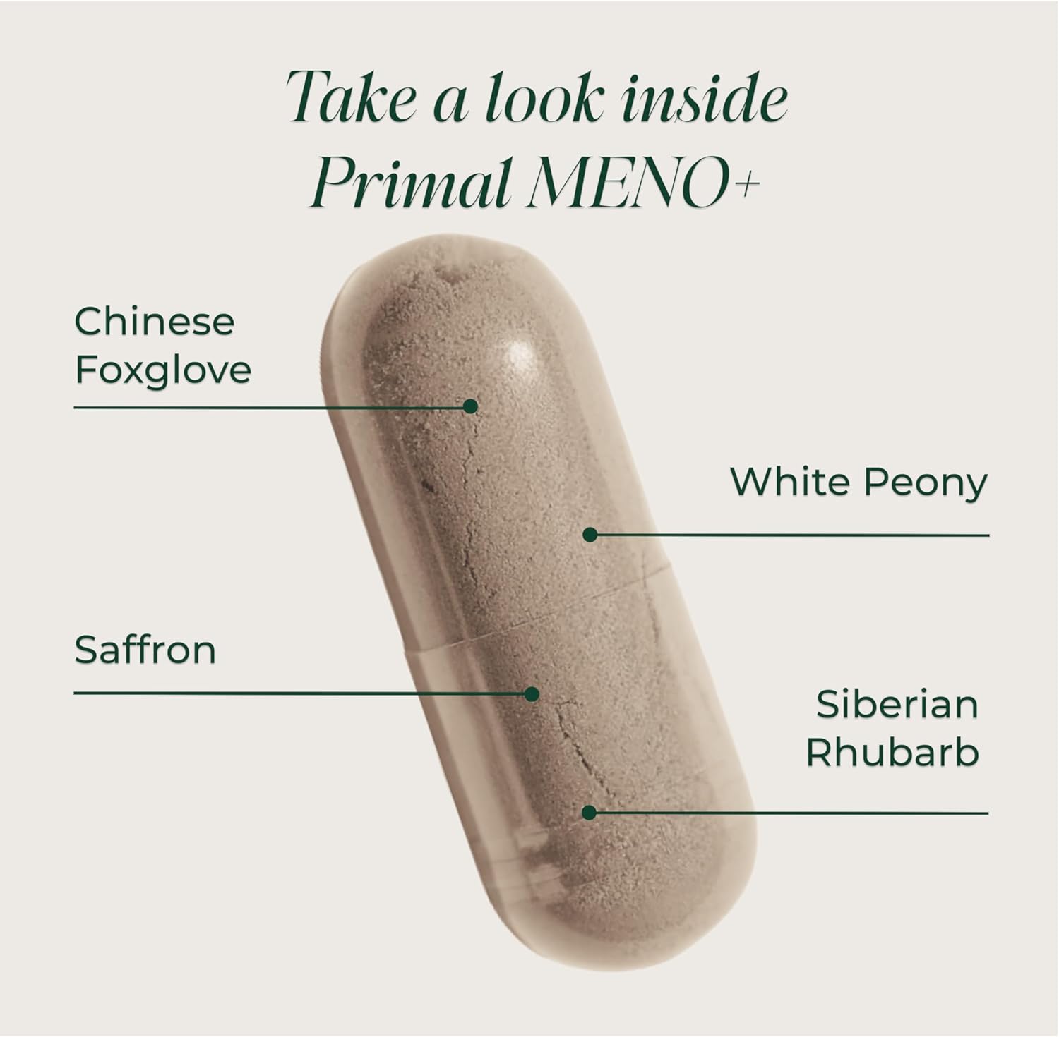 Primal Harvest Meno+ Menopause Support with Saffron & Chinese Herbs Support Mood, Menopausal Symptom Relief, & General Well-Being (2 Pack)