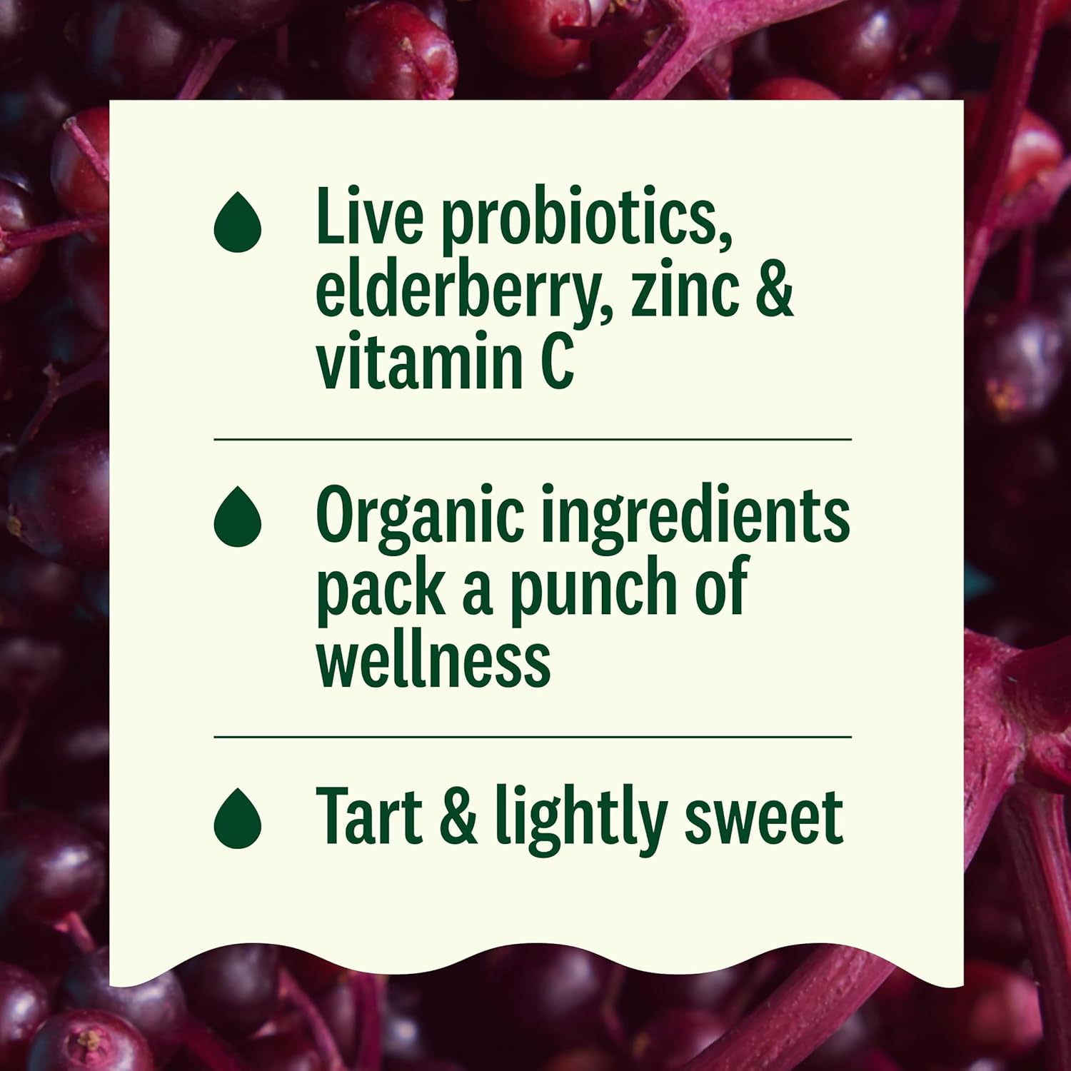 Suja Organic Immunity Elderberry Shot (60 Pack) with Turmeric and Ginger | Immunity Boost & Support | Functional Shots | Cold-Pressed Juice with Live Probiotics | Plant-Based & Gluten-Free