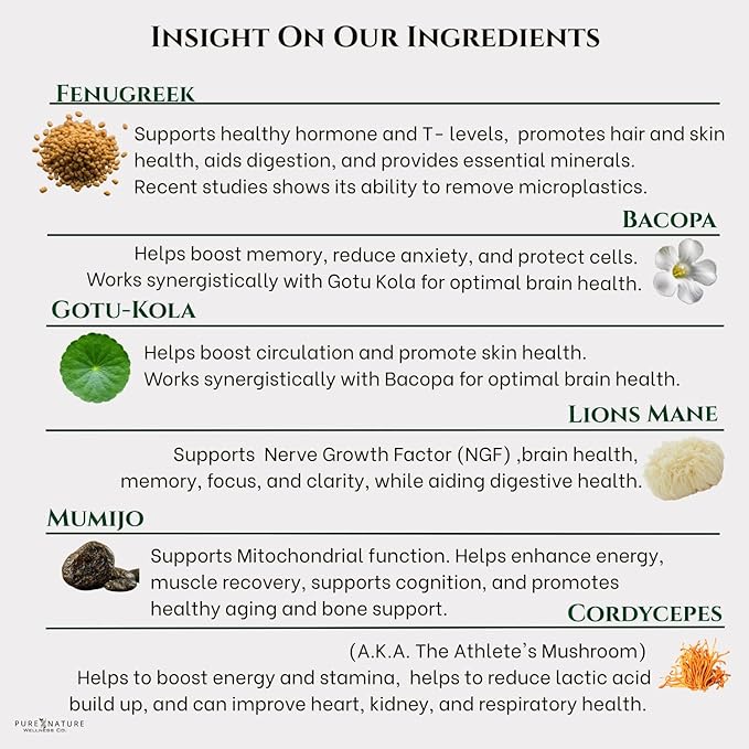 Pure Nature Wellness Focus + Energy + Immune Support-6-in-1 Nootropic & Mitochondrial Complex-Advanced Brain Supplement-Natural Energy-Caffeine Free Biohack with Lion’s Mane,Cordyceps,Mumijo,Fenugreek