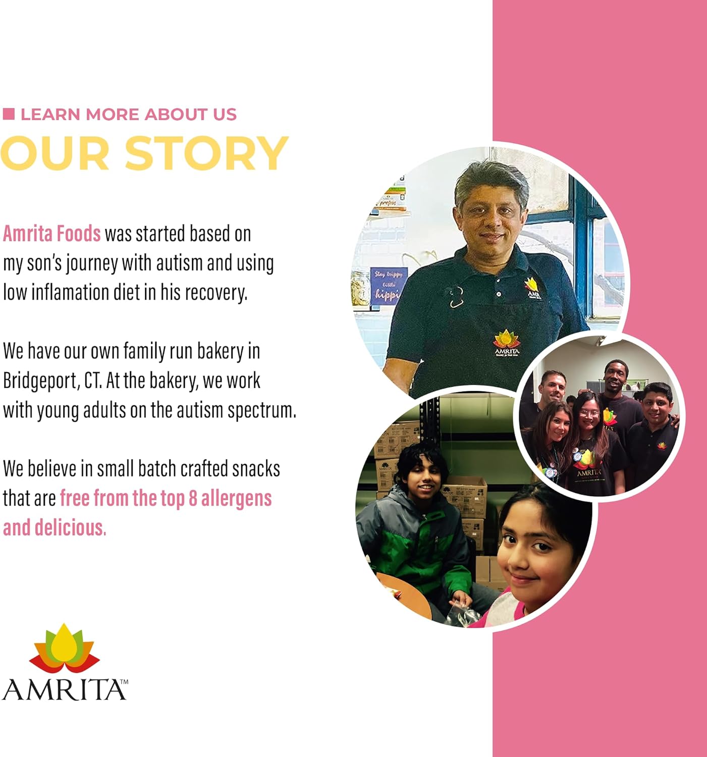 Amrita Nut Free Sunflower Butter & Jelly Vegan Protein Bars ( 12 CT PK of 3 ) | 11g Plant-Based Protein Bar | Peanut Free, Gluten Free, and Dairy Free | Low Sugar, High Fiber, Healthy School-Safe Snacks