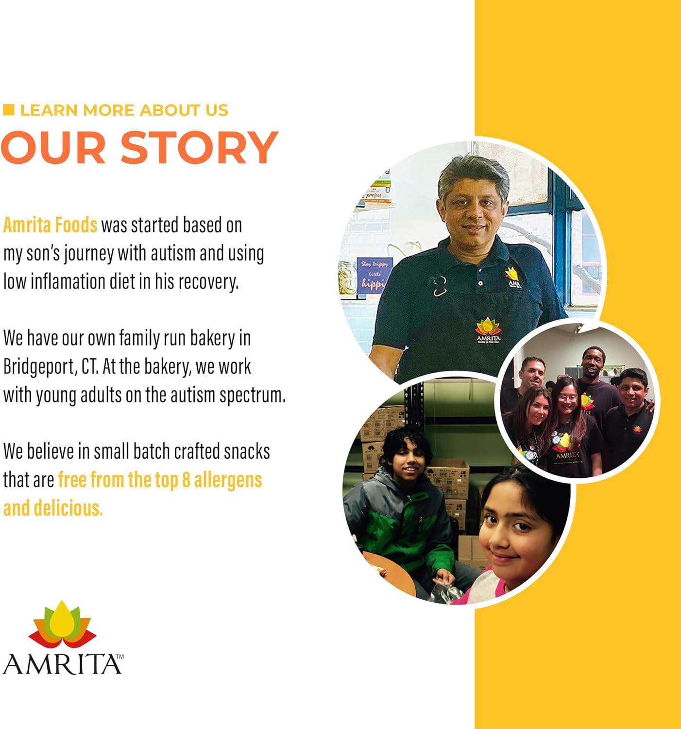 Amrita Nut Free Mango Coconut Vegan Protein Bars (12 Count PK of 3) | 11g Plant-Based Protein Bar | Peanut Free, Gluten Free, and Dairy Free | Low Sugar, High Fiber, Healthy School-Safe Snacks