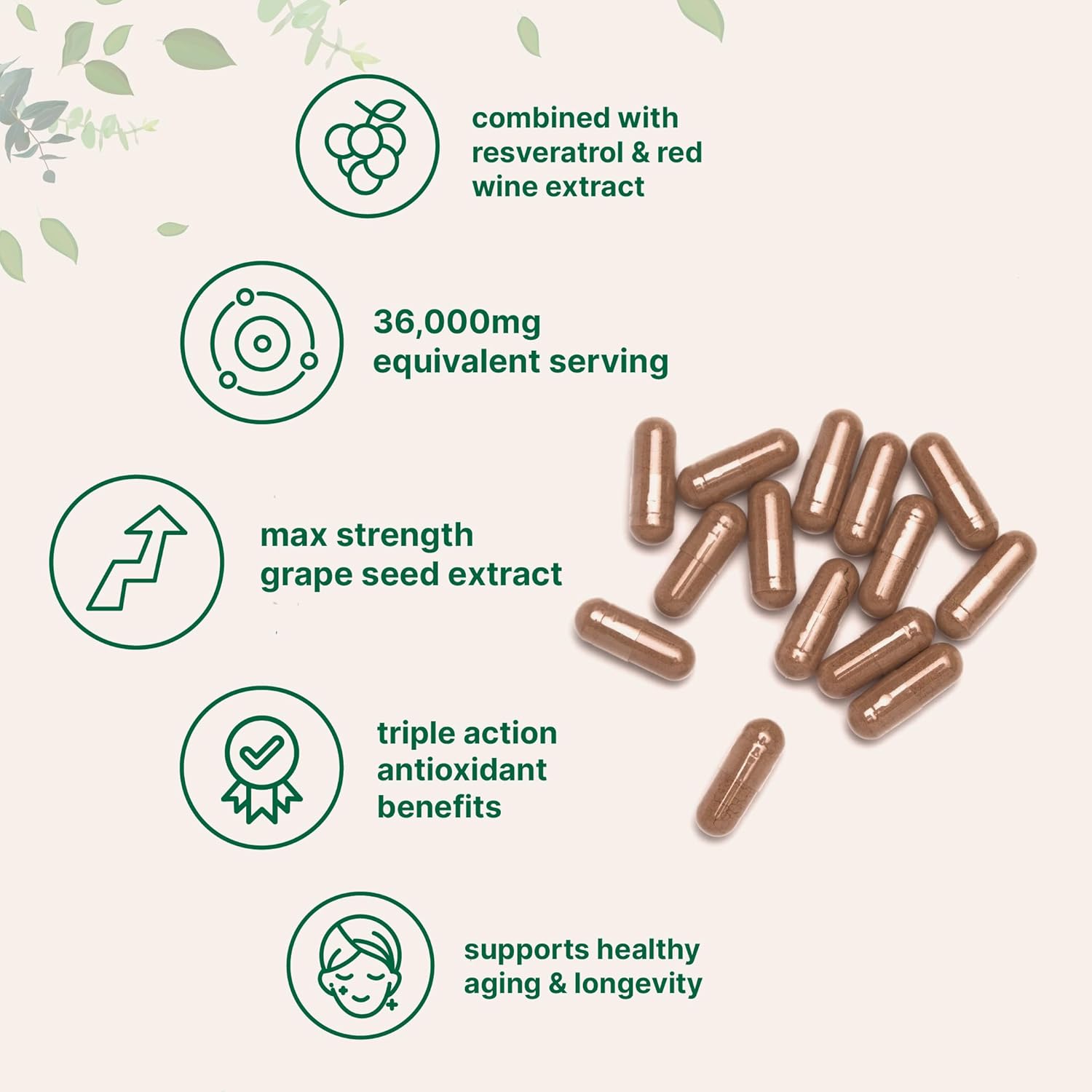 Grape Seed Extract 36,000mg Equivalent, 240 Capsules | Antioxidant Blend with Resveratrol & Red Wine Extracts | Max Strength Polyphenols Supplement | Heart, Brain, Cell, & Skin Health Support