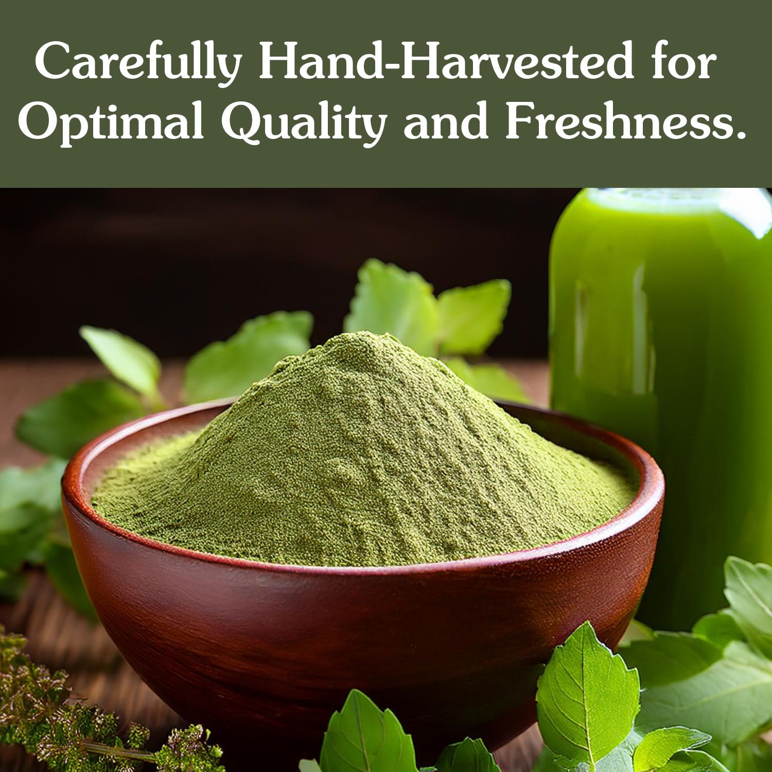 Ancient Roots Tulsi Powder - 100% Pure & Natural, Non-GMO, Gluten-Free, Finely Ground Holy Basil for Teas, Smoothies, and Recipes, 10.5 oz Resealable Bag