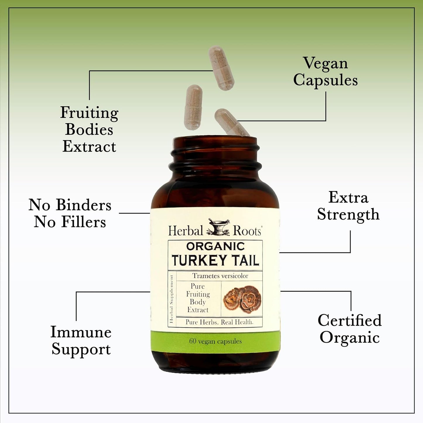 Herbal Roots Organic Turkey Tail Mushroom Supplement - Fruiting Bodies Extract - Immune Support - 60 Vegan Non GMO Capsules