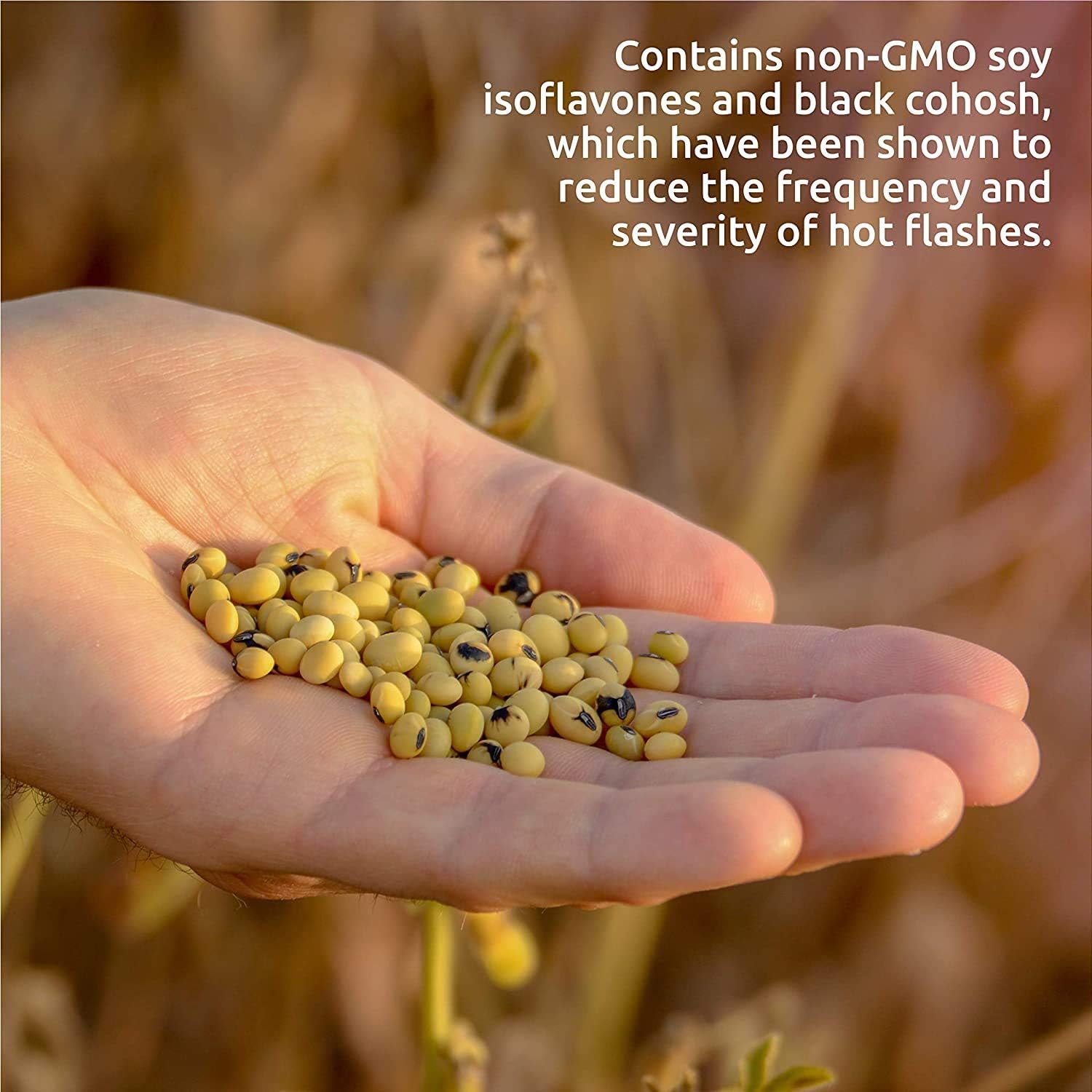 Source Naturals Hot Flash, Helps Reduce The Frequency of Hot Flashes* - 90 Tablets