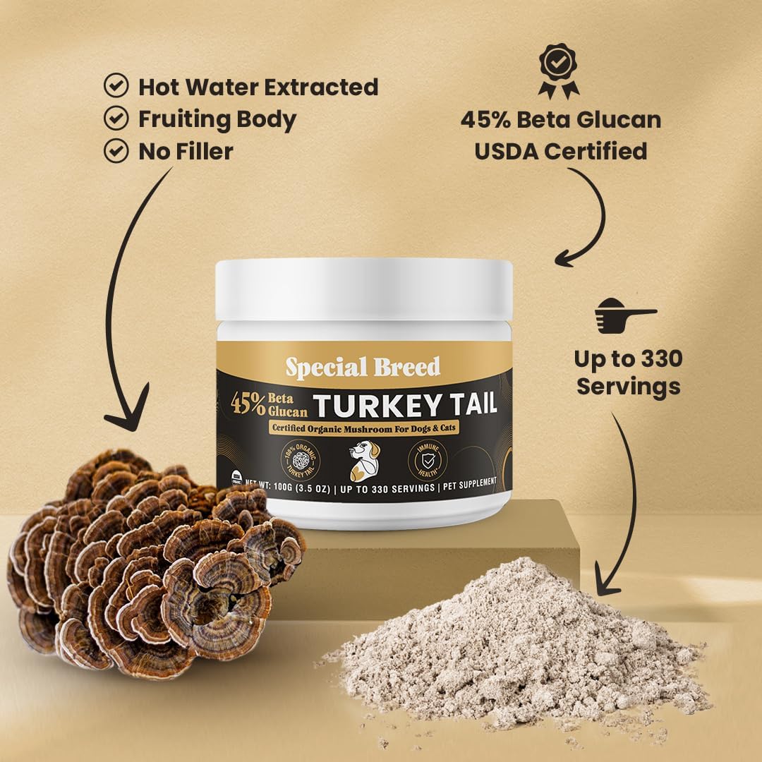 Organic Turkey Tail Mushroom for Dogs & Cats - Hot Water Extracted 45% Beta-Glucan USDA Mushroom Powder for Immune Support, Gut Health, Holistic Defense - No Fillers, Made in The USA - 330 Scoops