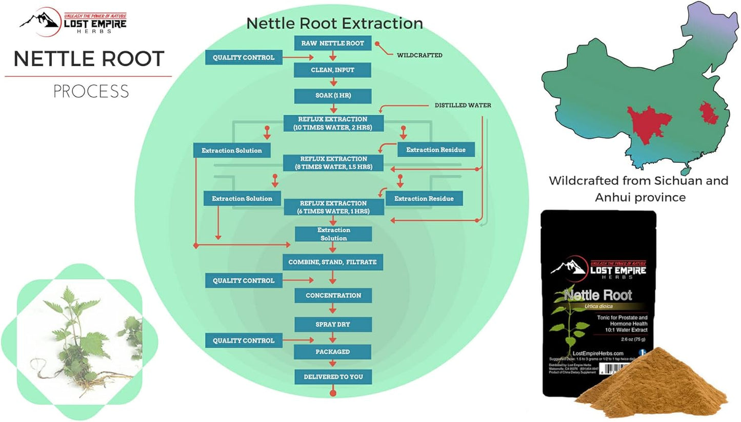 Stinging Nettle Root (Urtica Dioica) 10:1 Full-Spectrum Water Extract Powder Supplement for Men, Urinary Function (75 Grams)