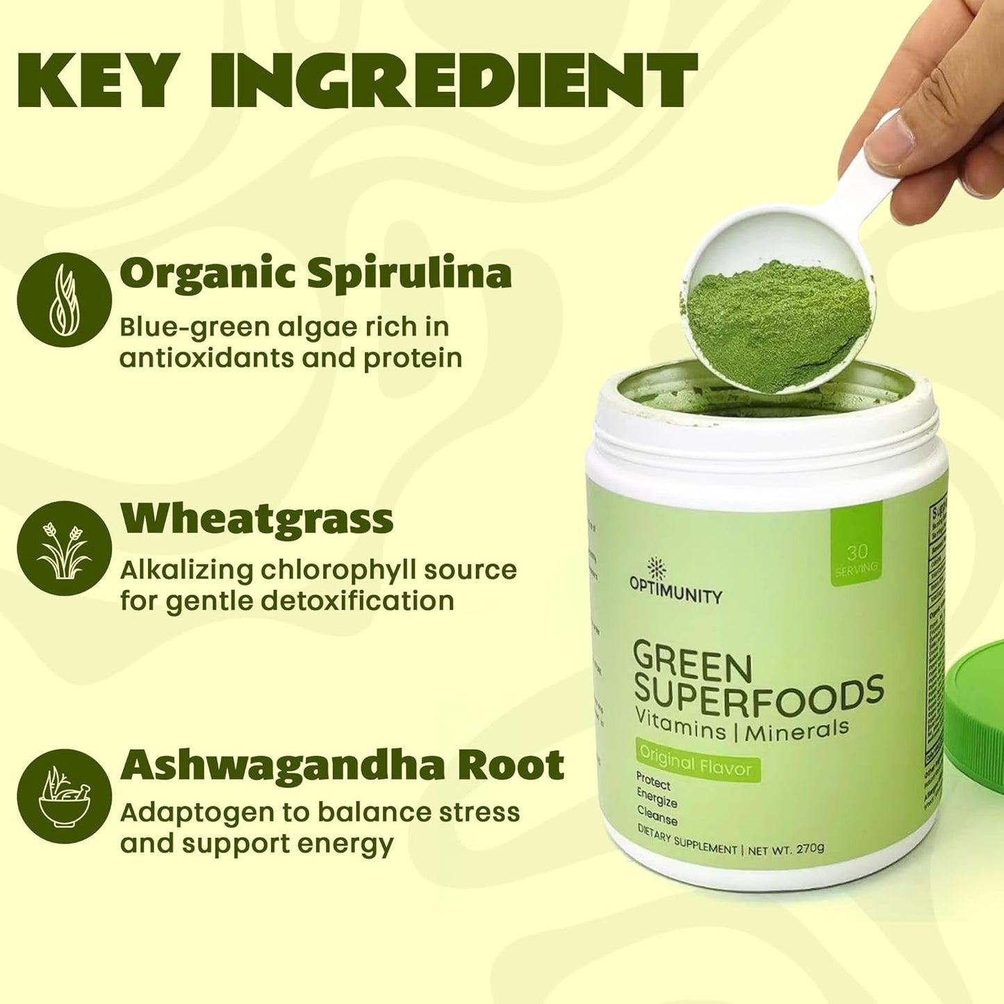 Green Superfoods Powder - Unflavored – Organic Greens Blend with Spirulina, Probiotics & Digestive Enzymes – Detox, Immune & Gut Health Support – 30 Servings (30 Servings, Unflavoured)