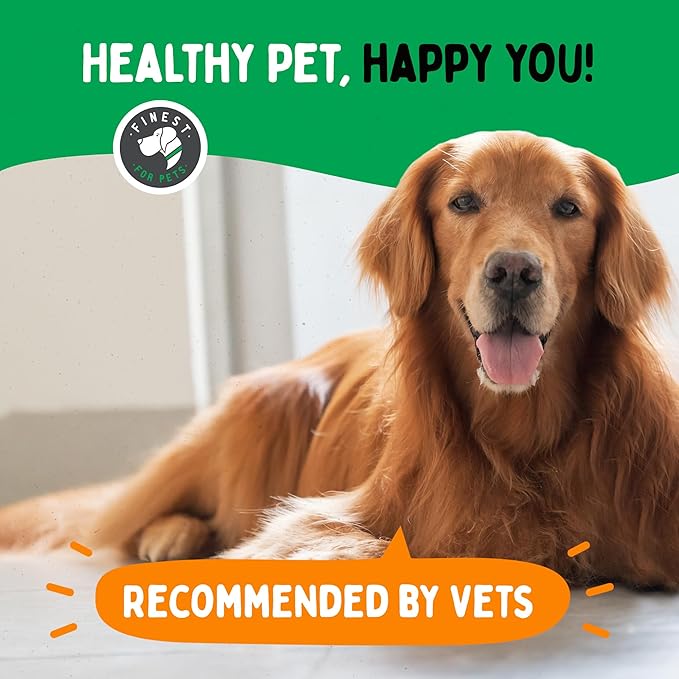 TummyWorks Probiotics for Dogs. 120 Probiotic Soft Chews for Digestive Health, Gut, Immunity, Energy, Allergies, Skin & Coat. 10 Strains, 5 Billion CFUs with 6 Enzymes. Made in USA