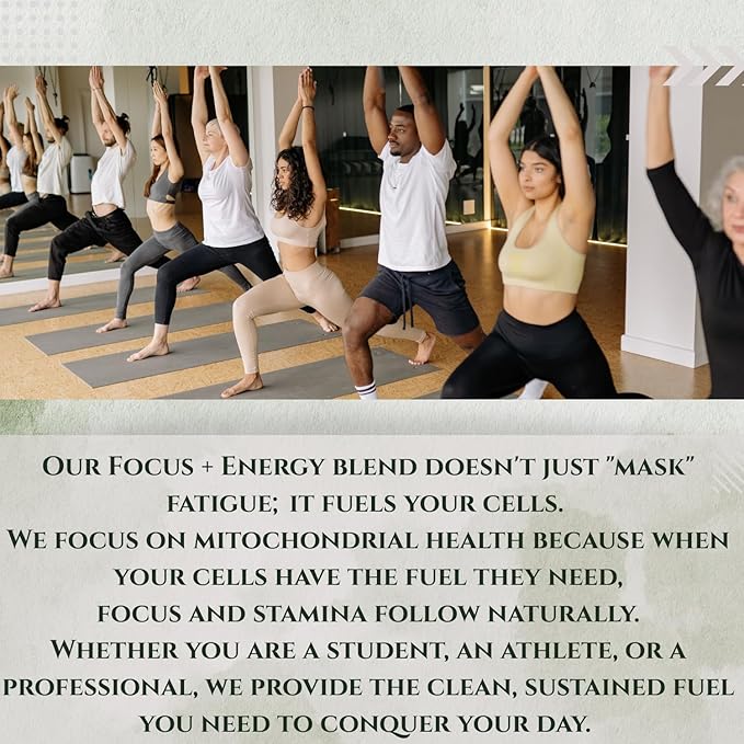 Pure Nature Wellness Focus + Energy + Immune Support-6-in-1 Nootropic & Mitochondrial Complex-Advanced Brain Supplement-Natural Energy-Caffeine Free Biohack with Lion’s Mane,Cordyceps,Mumijo,Fenugreek