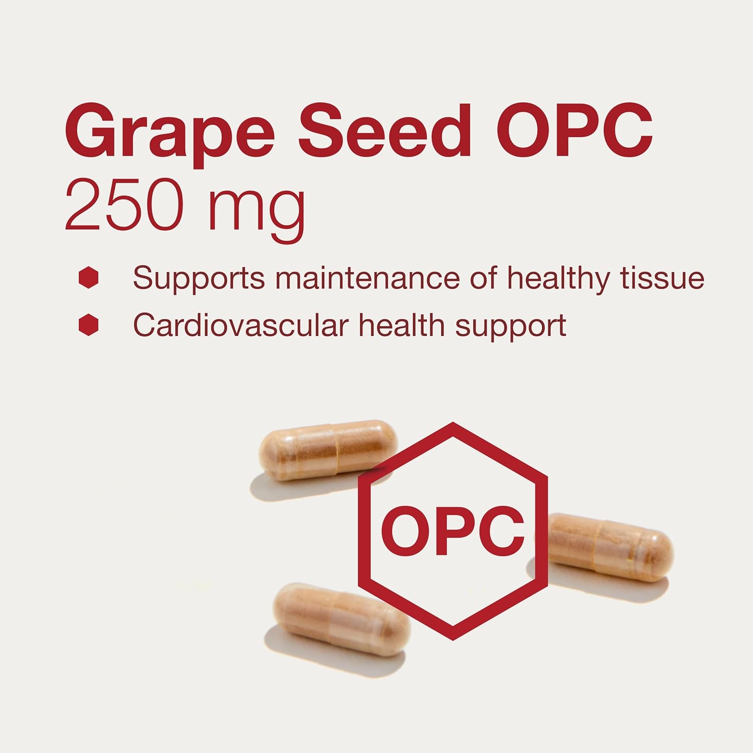 PROTOCOL FOR LIFE BALANCE Grape Seed OPC - 250mg - 90% Polyphenols - with Rutin & Amla Fruit Extract - Grape Seed Capsule - Non-GMO & Kosher - 90 Veg Caps
