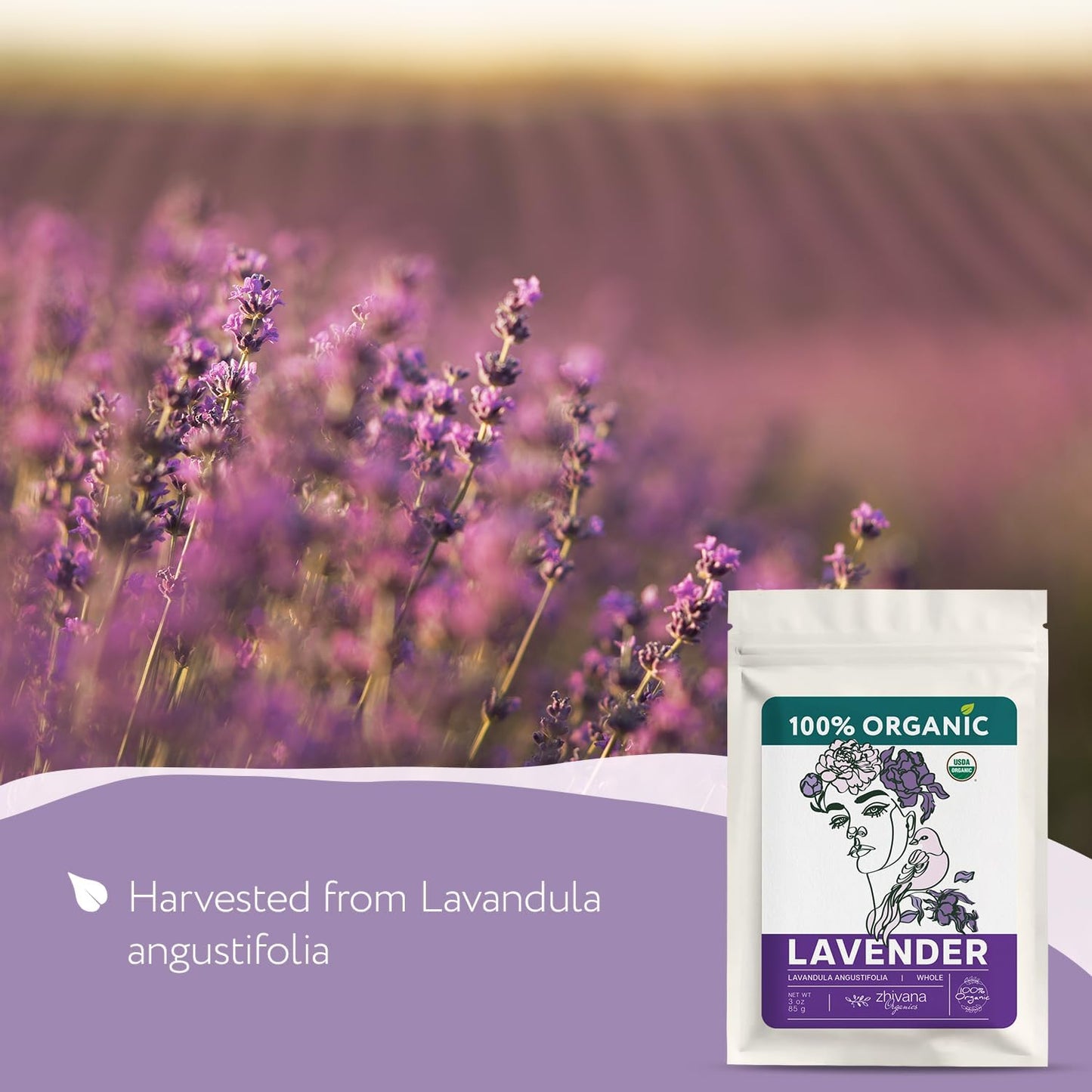 Super Value Pack 5 LB - Organic Food Grade Lavender Flower – Loose Leaf Lavender Tea - Lavandula Angustifolia - Edible Lavander for Drinks, Cooking & Baking