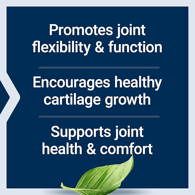 Life Extension NT2 Collagen™, Joint Health Supplement for Joint Comfort & Mobility, Gluten-Free, Non-GMO, 1 Daily, 60 Small Capsules