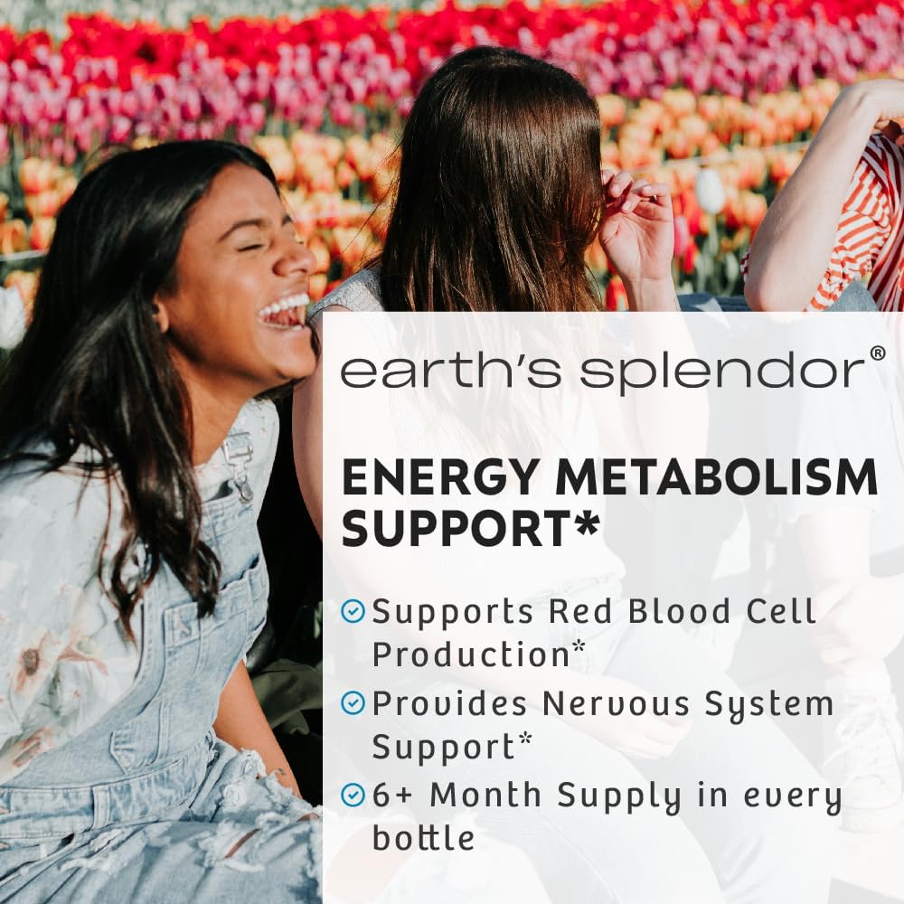Earth's Splendor Energy Supplement Vitamin B6 for Men & Women, No Artificial Color or Preservatives, Non-GMO, Supports Energy Metabolism and Red Blood Cell Production (100mg, 250 Tablets)