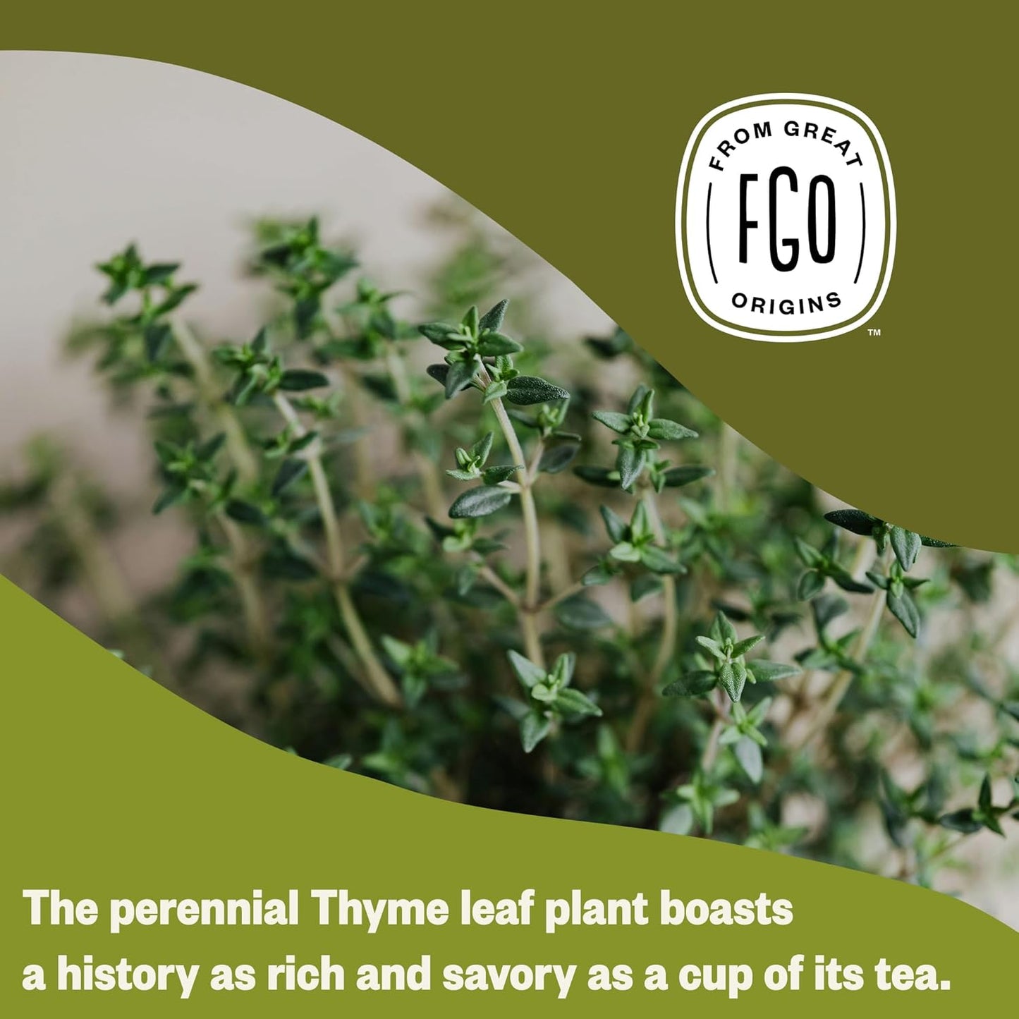 FGO Organic Thyme Leaf Tea, 100 Count, Eco-Conscious Tea Bags, Caffeine Free, Resealable Bag, Packaging May Vary (Pack of 1)