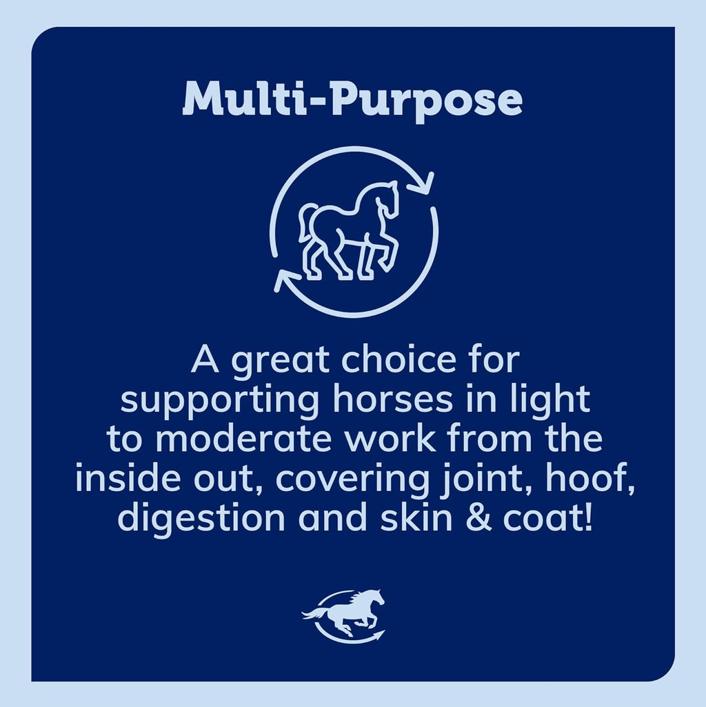 SmartEquine Smart & Simple Jiaogulan | Horse Supplement | Supports Proper Circulation for Overall Well-Being | Muscle Support | 324 Servings | 5lb