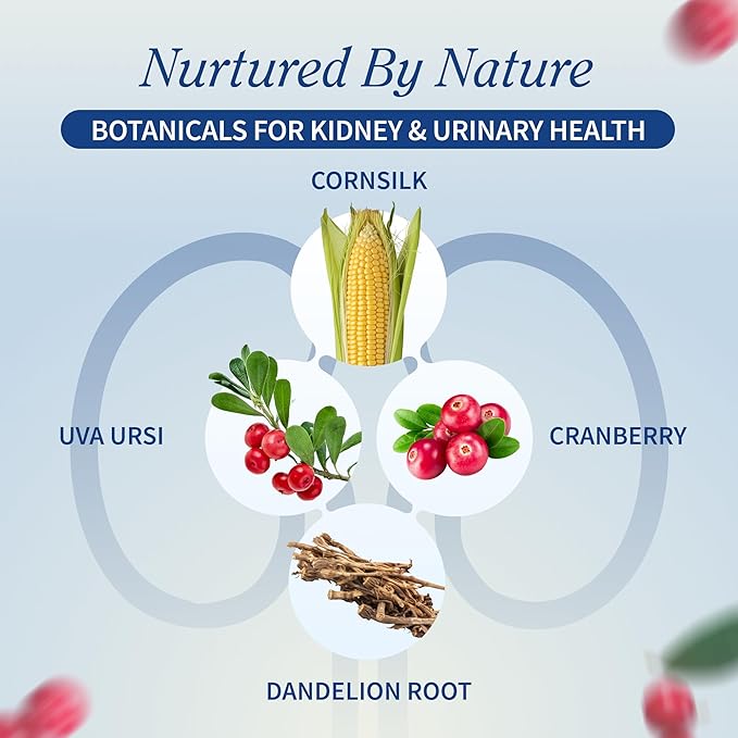 Snap Supplements Kidney Health Support Supplement - Kidney and Urinary Tract Health Support for Women and Men, 60 Vegetarian Capsules (30 Servings, 1 Month Supply)