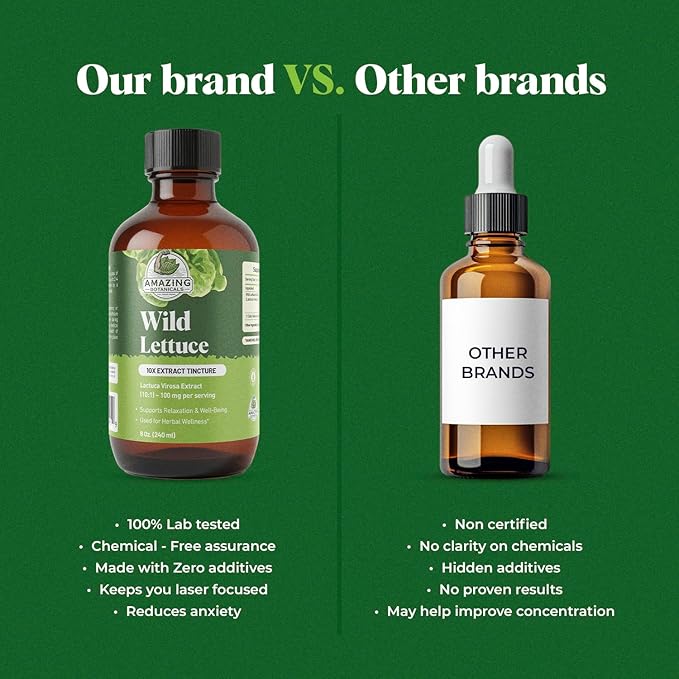 Amazing Botanicals Alcohol Free Wild Lettuce 10X Extract Tincture | Bulk Size | - USDA Organic Wild Lettuce (Lactuca Virosa) Dried Herb - 8 Fl oz