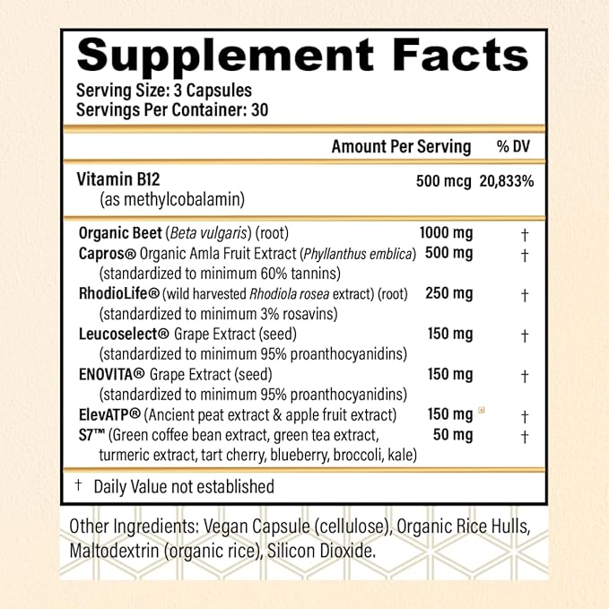 CHOQ Action 2.0 Energy & Circulation Support - Rhodiola Rosea, Beetroot & B12 Supplement - Nitric Oxide Booster for Men & Women - Focus & Recovery - 90 Capsules