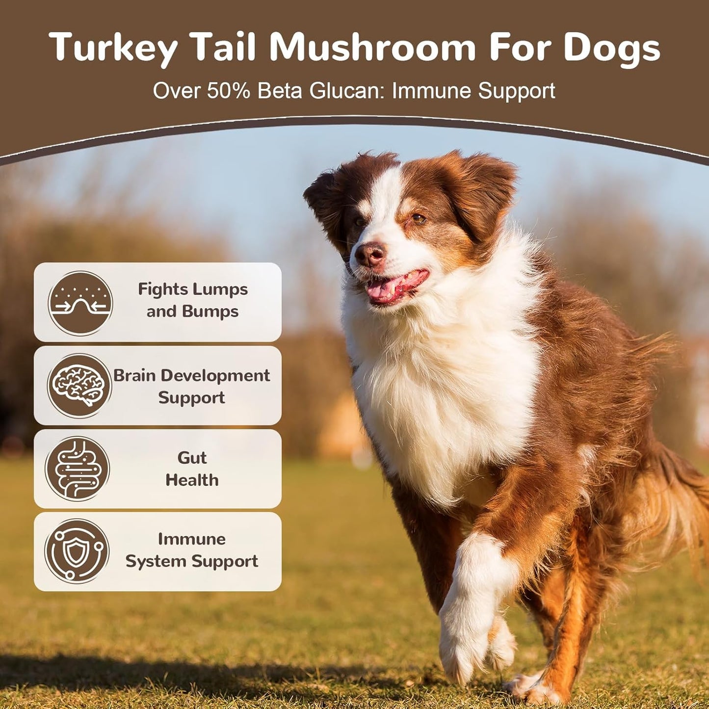Turkey Tail Mushroom for Dogs, Organic 10 Mushroom Blend for Lipoma Lumps and Bumps, Probiotic Mushroom Powder with 50% β-Glucan for Dogs & Cats, Joint Gut Immune Skin Support-30 Day Supply