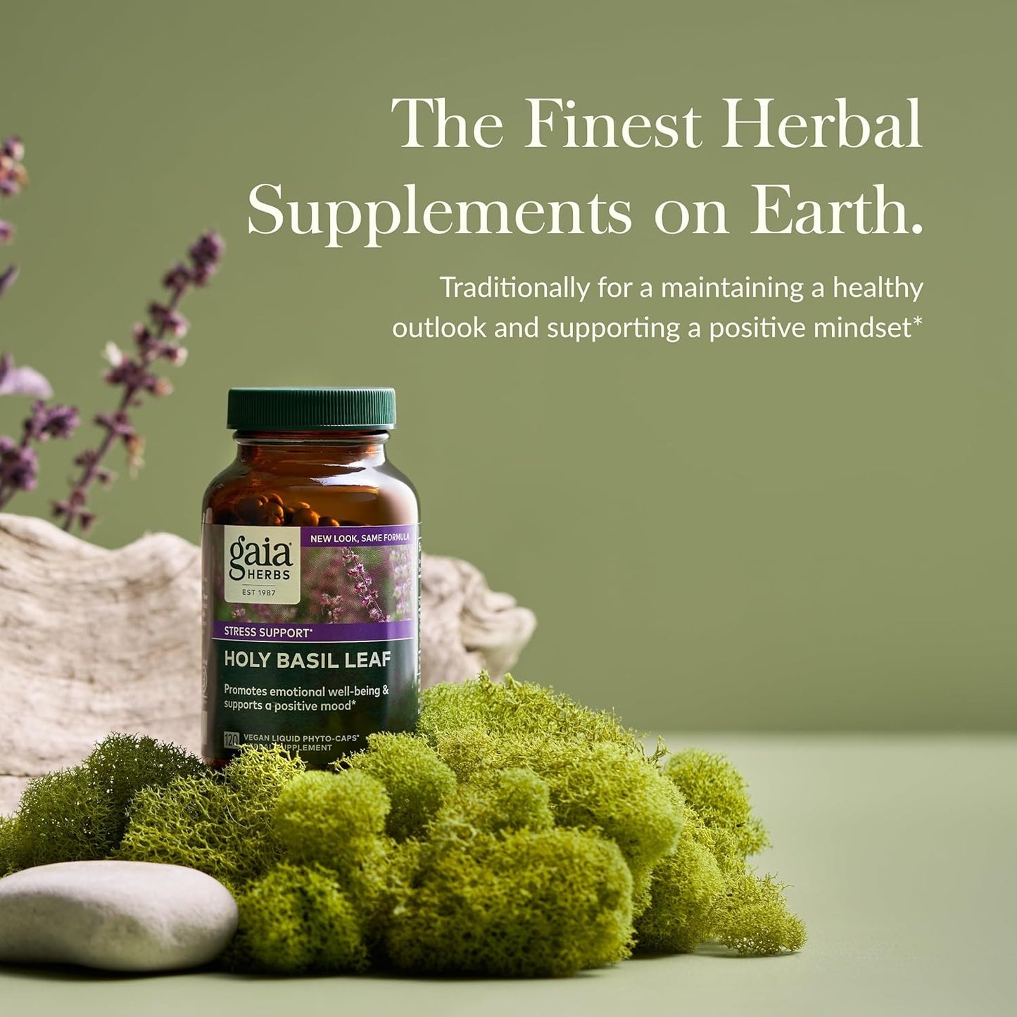 Gaia Herbs Holy Basil Leaf - Traditionally Used to Support Stress Response - Adaptogenic Ayurvedic Herb* - 120 Vegan Liquid Phyto-Capsules (60-Day Supply)