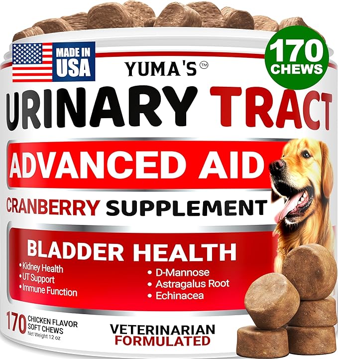 Dog UTI Chews - 170 Treats - Cranberry Supplement for Dogs - Bladder Control - Digestion & Immune Support - Urinary Tract Health - Multivitamin - Vitamins and Supplements - Made in USA