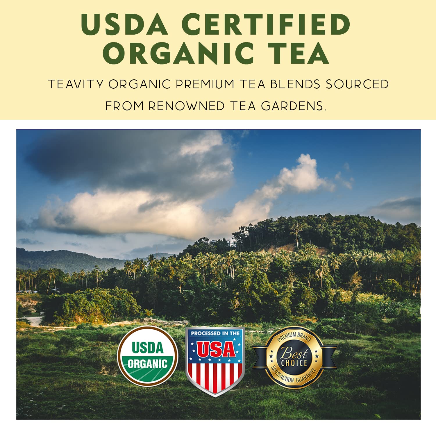 Coconut Rooibos Chai Tea Pods for Keurig - Organic Ginger Tea, Rooibos, Cinnamon, Cardamom, Coconut & Chai by Teavity (12 Tea Pods)