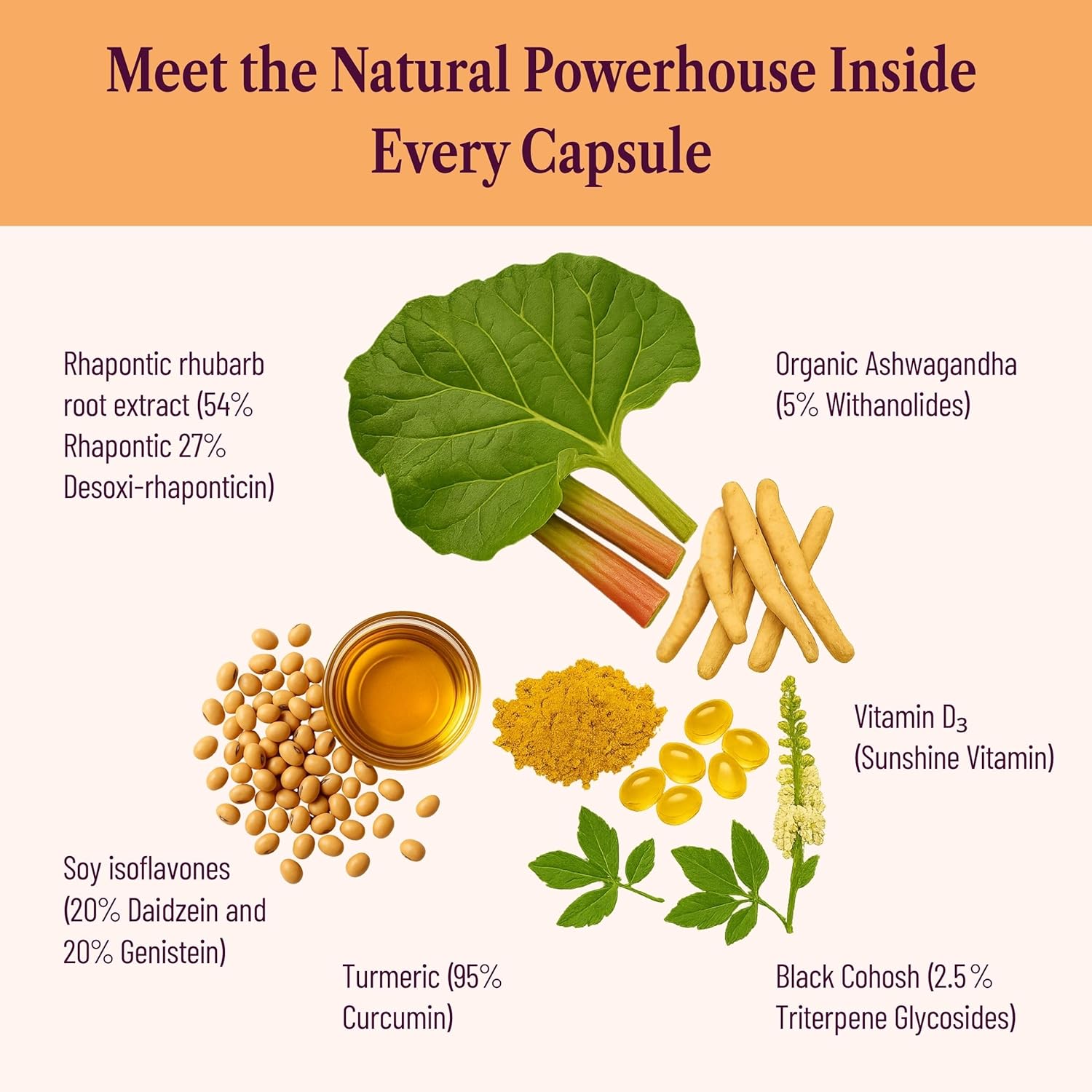 Hormonal Balance for Women | Rhubarb Extract, Soy Isoflavones & Black Cohosh for Hot Flash, Night Sweat & Mood Support, Menopause Relief Supplement, Hormone-Free 60 Capsules, 1 Month Supply