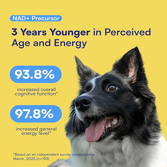 NAD+ Precursor & Senior Dog Supplement - 90 Soft Chews - NMN Alternative for Longevity & Healthy Aging - Nicotinamide Riboside, Resveratrol, Quercetin, Made with Pasture-Raised Chicken