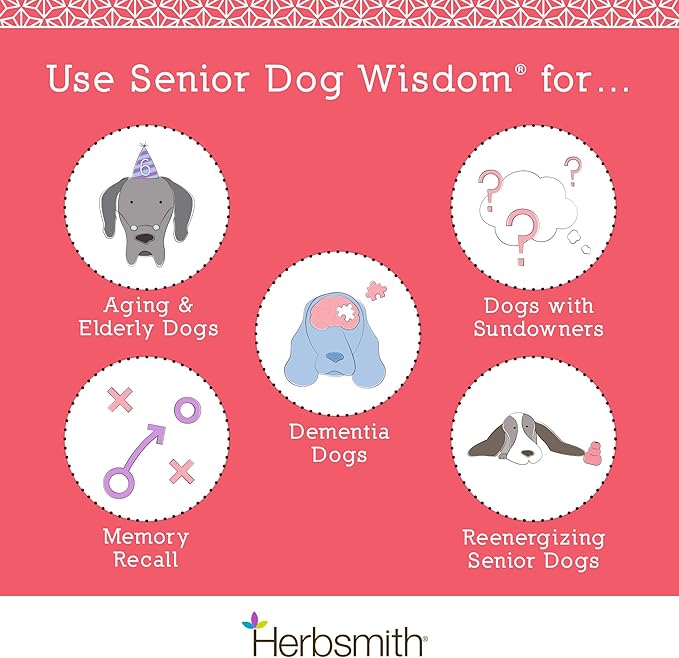 Herbsmith Senior Dog Wisdom – Dog Dementia Supplement – DHA for Senior Dog Brain Health - Senior Supplement for Dogs- 75g