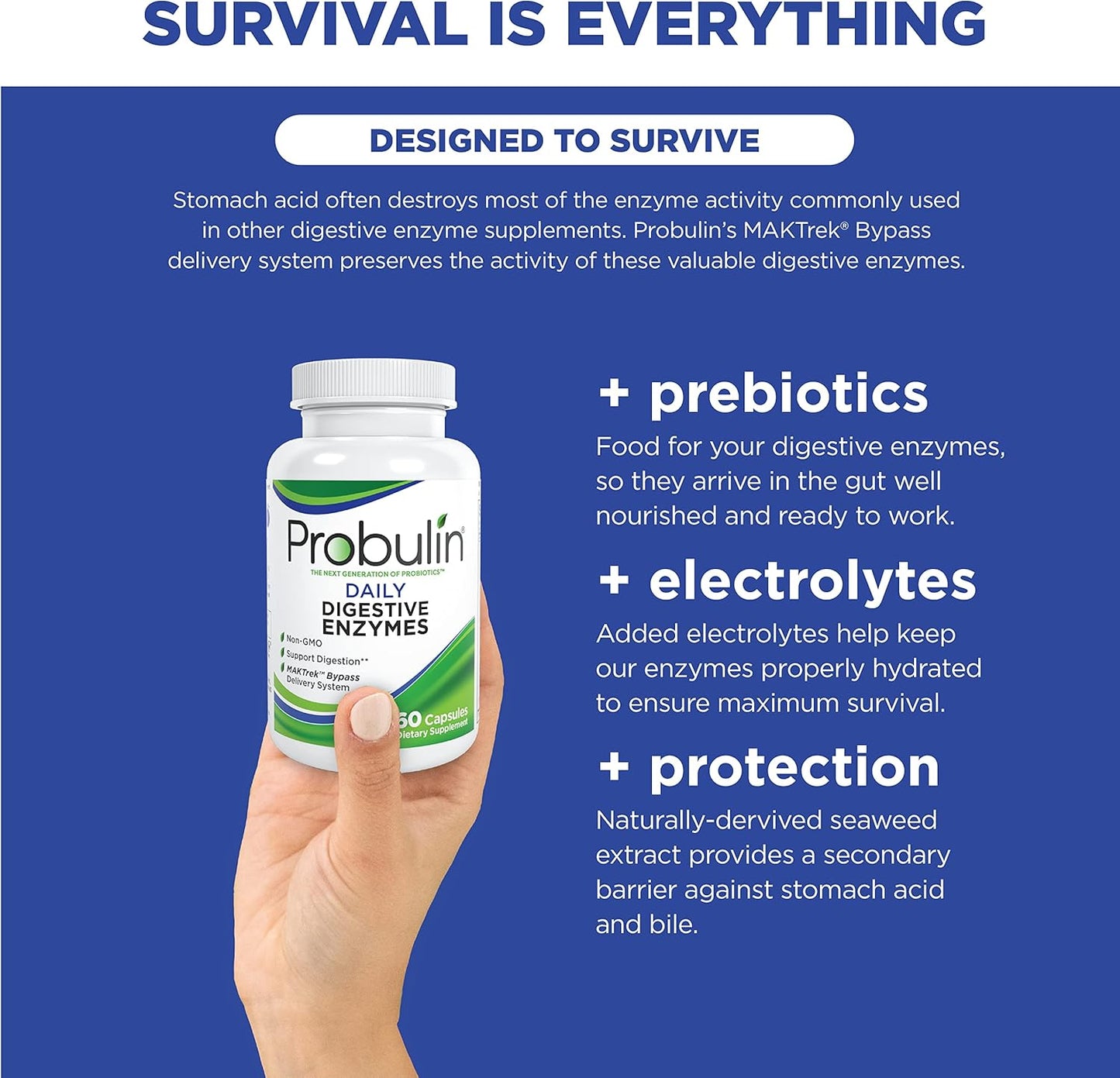 Probulin Daily Digestive Enzymes - Plant-Based Enzymes to Support Digestive Comfort, 60 Vegan Capsules