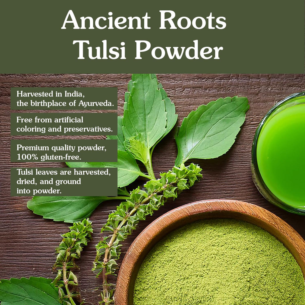 Ancient Roots Tulsi Powder - 100% Pure & Natural, Non-GMO, Gluten-Free, Finely Ground Holy Basil for Teas, Smoothies, and Recipes, 10.5 oz Resealable Bag