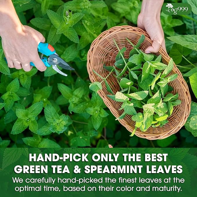 TOG999, Premium Moroccan Mint Green Tea | 60 Tea bags | Traditional Green Tea with Spearmint – Refreshing Flavor, Premium Quality Herbal Blend. Gluten-Free. Vegan