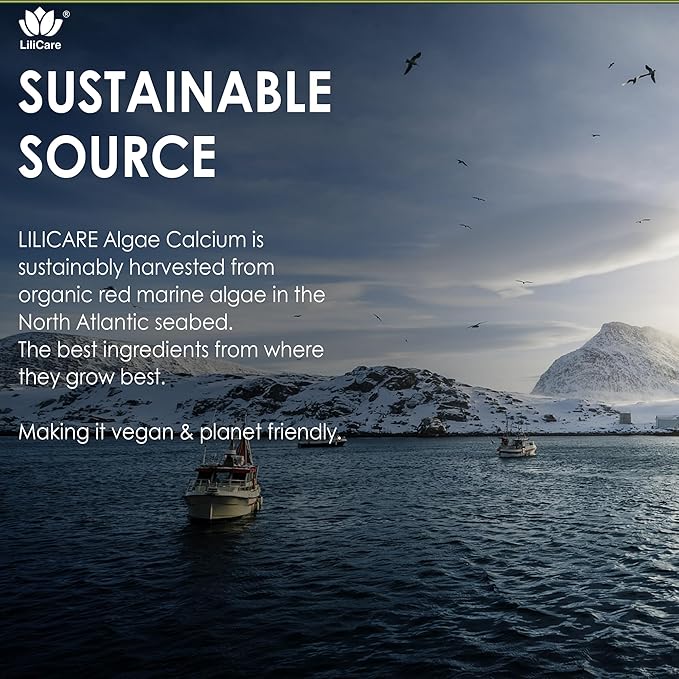 Plant Based Calcium Gummies 600mg with Vitamin D3 K2, Magnesium, Zinc for Bone Strength, Sugar Free Calcium Supplements for Women & Men (Certified Vegan) from Sustainably Organic Red Algae - 60 Counts