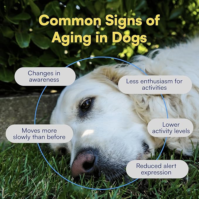 NAD+ Precursor & Senior Dog Supplement - 90 Soft Chews - NMN Alternative for Longevity & Healthy Aging - Nicotinamide Riboside, Resveratrol, Quercetin, Made with Pasture-Raised Chicken