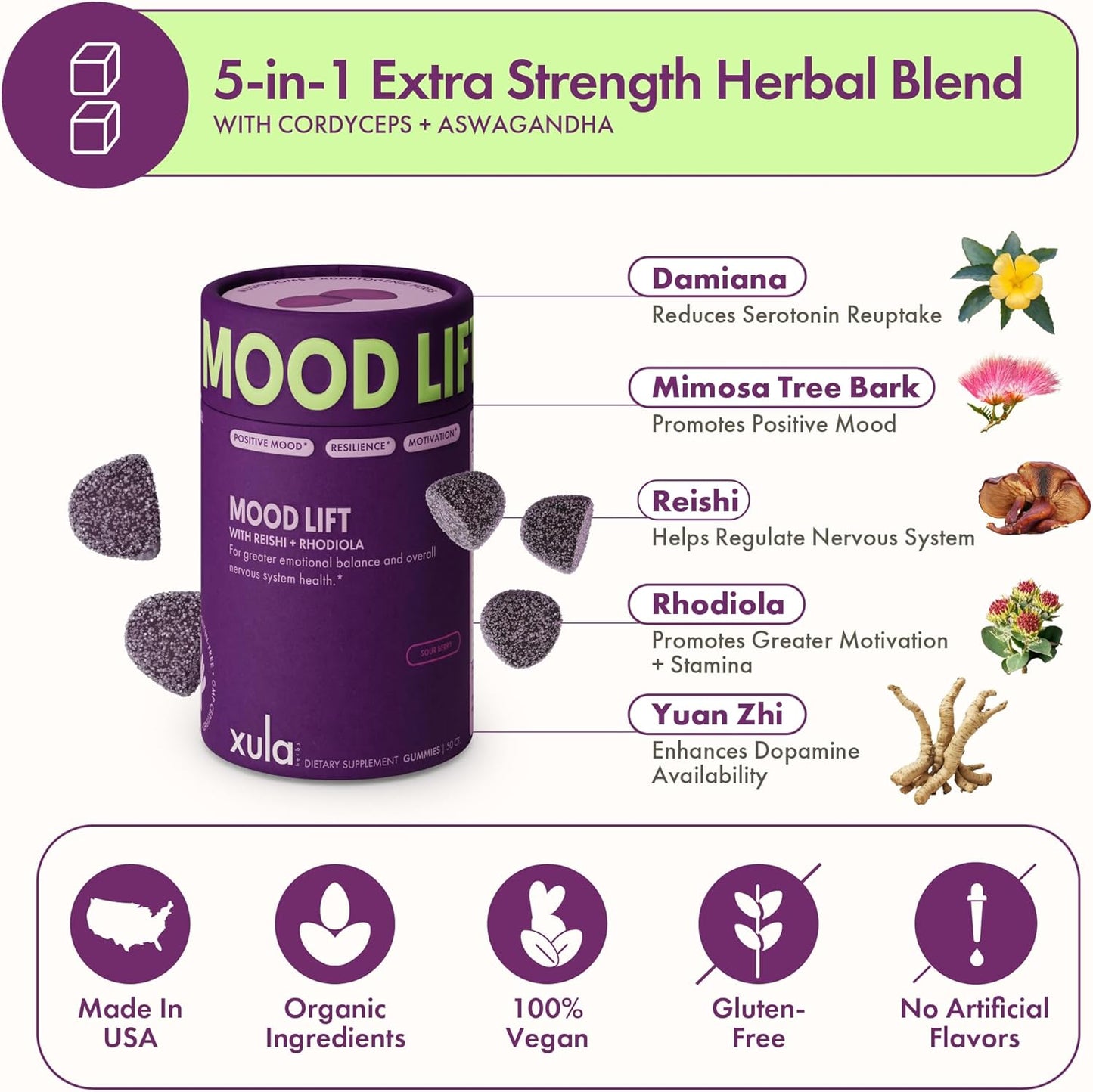 Mood Lift Gummies – Rhodiola, Reishi & Adaptogen Blend – Serotonin & Dopamine Mood Booster for Stress Relief, Motivation & Emotional Balance – Vegan, Non-GMO, Made in USA – 50 Extra-Strength Gummies