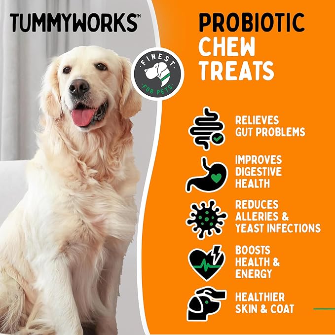 TummyWorks Probiotics for Dogs. 120 Probiotic Soft Chews for Digestive Health, Gut, Immunity, Energy, Allergies, Skin & Coat. 10 Strains, 5 Billion CFUs with 6 Enzymes. Made in USA