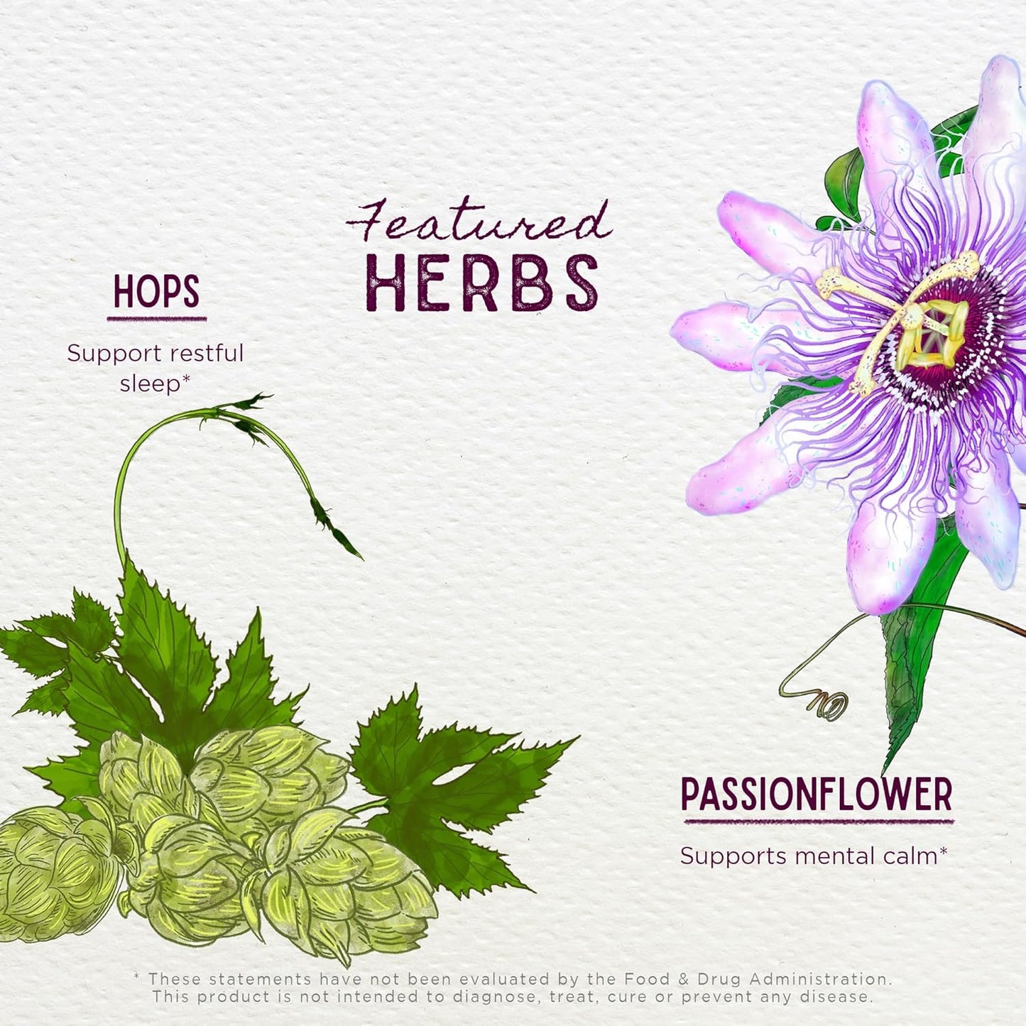 WishGarden Herbs Serious Cough PM Soothing Syrup - Natural Herbal Nighttime Cough Suppressant for Adults with Mullein Leaf Calms Cough Reflex, Normalizes Mucus Production, Supports Restful Sleep, 4oz