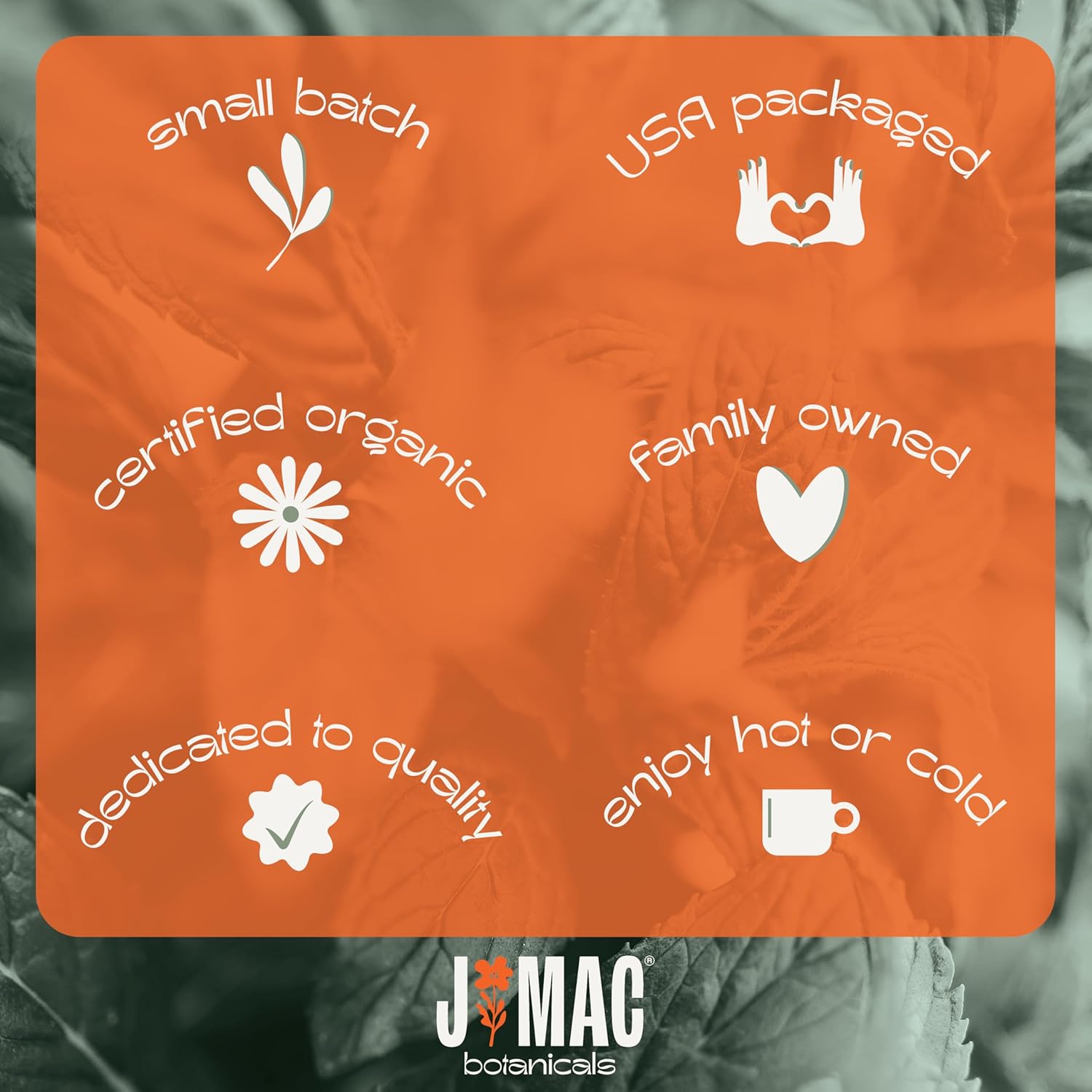 J Mac Botanicals Organic Anise Seeds (32 oz) Certified USDA Organic. Whole aniseed for cookies, tea, powder, or baking