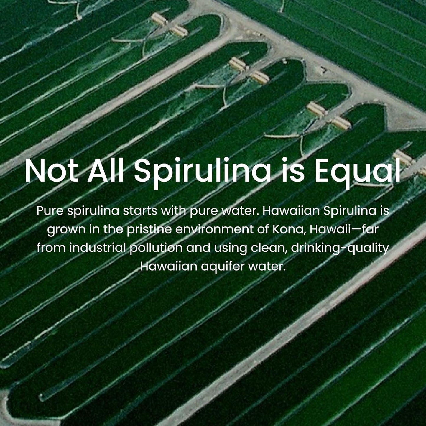 Nutrex Hawaii Pure Hawaiian Spirulina Powder, Vegan Superfood, Non-GMO, Immune Support, Cellular Energy & Cardiovascular Health, 90 Day Supply, 9.53 Oz.