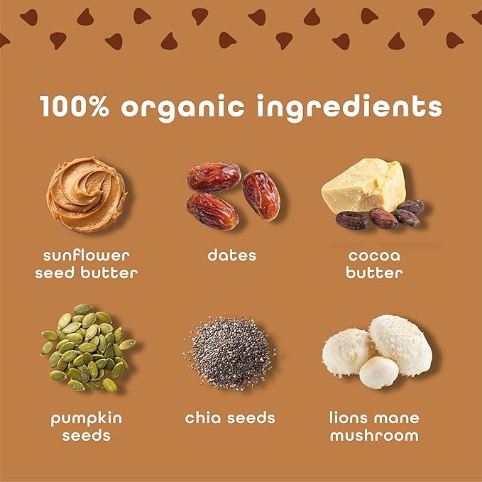 Feel Vegan Protein Bars, Focus, Lion’s Mane, Dairy, Nut, Grain, Soy Free, 15g Plant Protein, Adaptogenic Snack, Organic, Low Sugar, Low Carb, Gluten Free, Brownie Chocolate Chip, 10 Pack