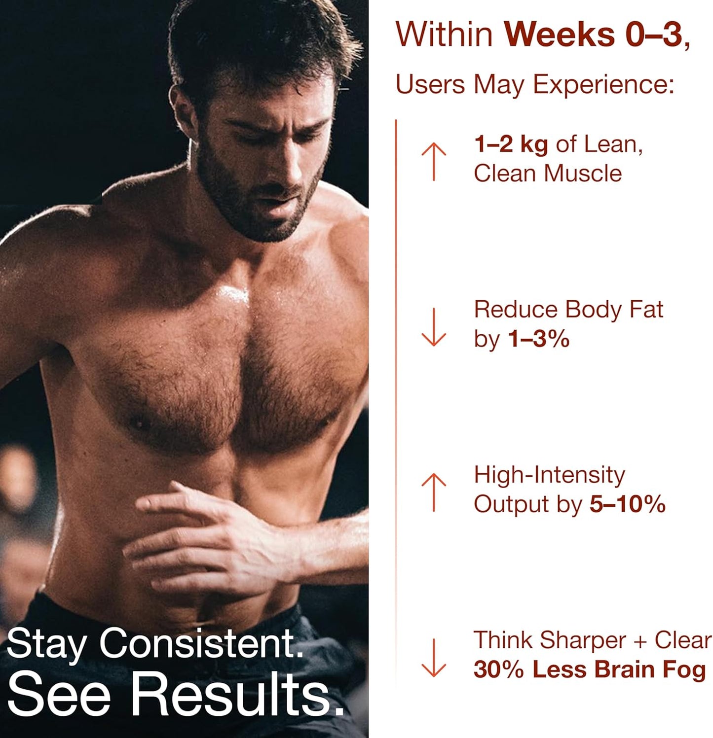 Bear Balanced Creatine Gummies for Men & Women - Creapure® Creatine Monohydrate, L-Theanine, L-Tyrosine & B12 for Muscle Growth, Strength, Focus, Energy & Health - Low Calorie, Sugar-Free, & Vegan