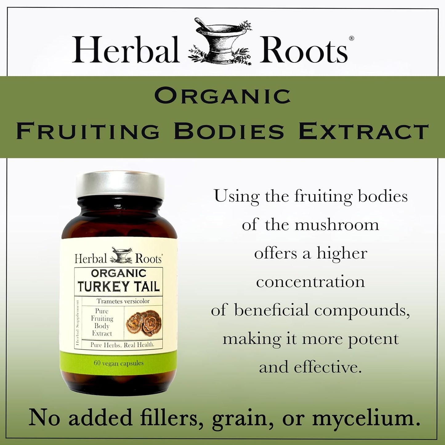 Herbal Roots Organic Turkey Tail Mushroom Supplement - Fruiting Bodies Extract - Immune Support - 60 Vegan Non GMO Capsules