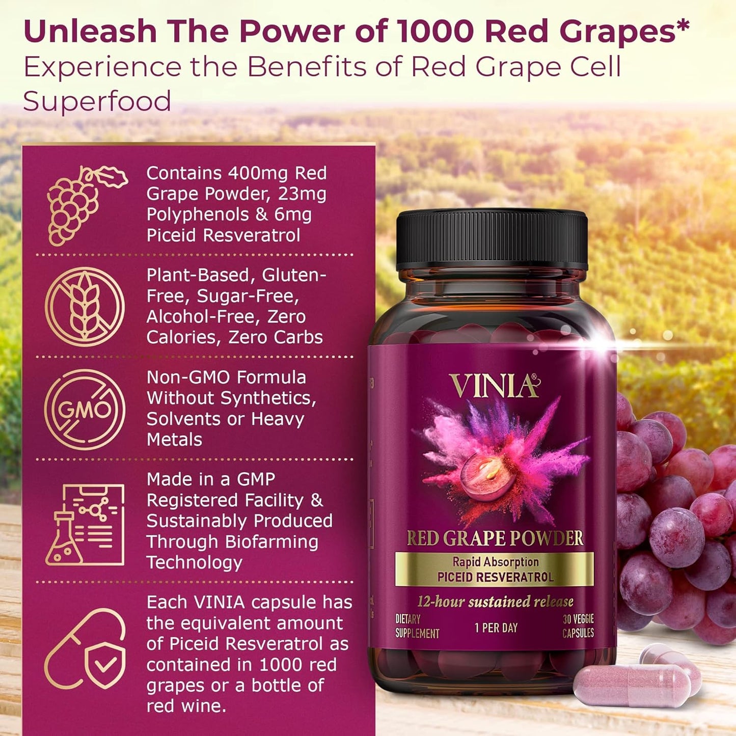 VINIA 12-Hour Long-Lasting piceid resveratrol Supplement. Nitric Oxide Supplement. Supports Heart Health, Blood Flow, Boost Oxygen Superfood Powder, Keto Friendly. Vegan & Non-GMO. 30 Day Supply.