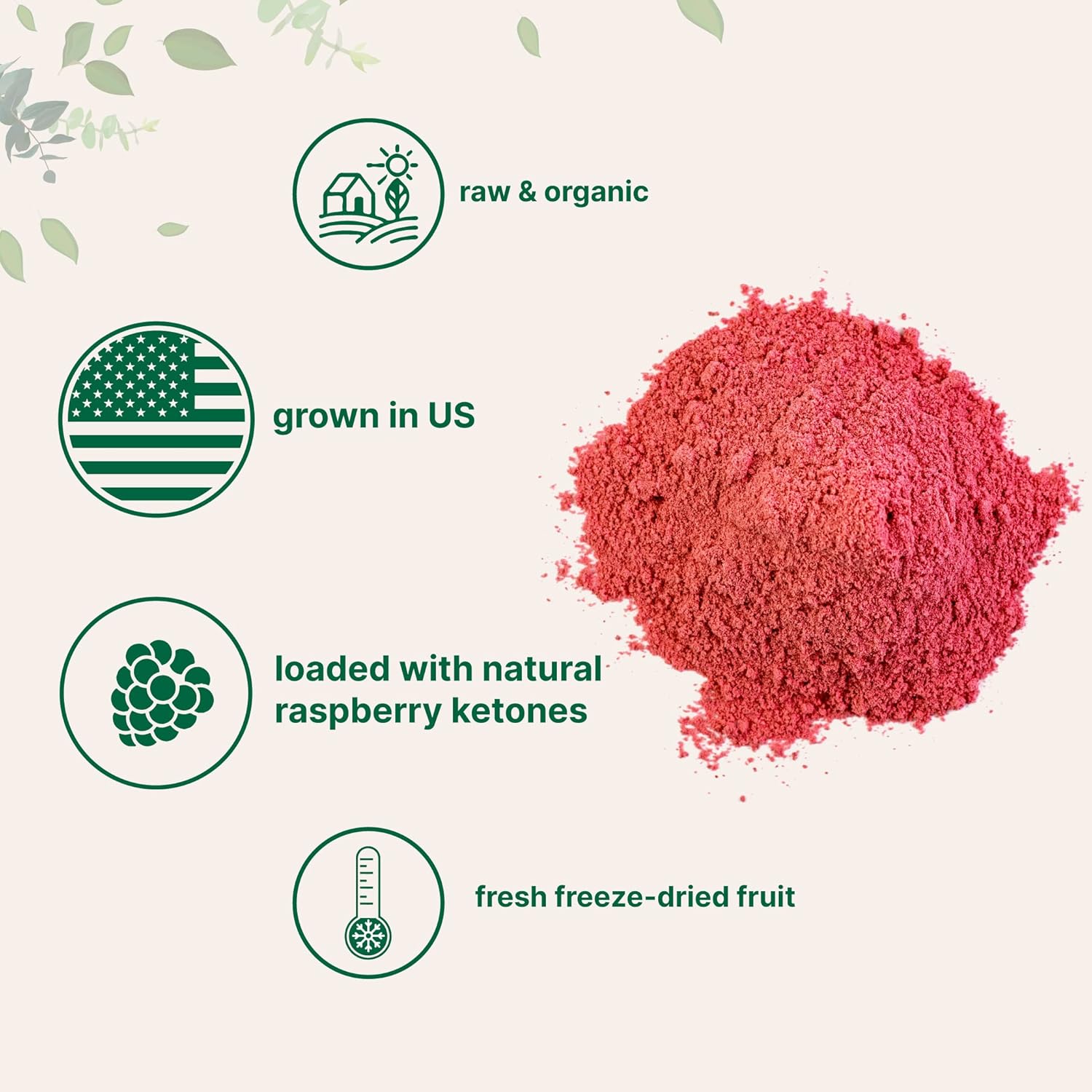 Organic Raspberry Juice powder, 8oz | 100% Natural Fruit Powder | Freeze-Dried Raspberries Source | No Sugar & Additives | Great Flavor for Drinks, Smoothie, & Beverages | Non-GMO & Vegan Friendly